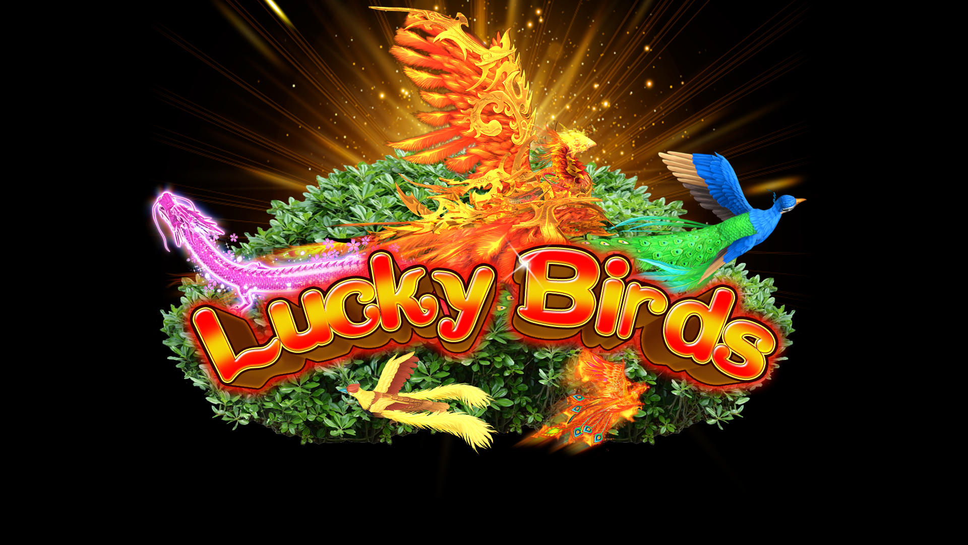 Lucky Birds Fishing Game Motherboard Kit | High-Performance Arcade Fish Hunting Conversion PCB & Software | HomingGame Factory